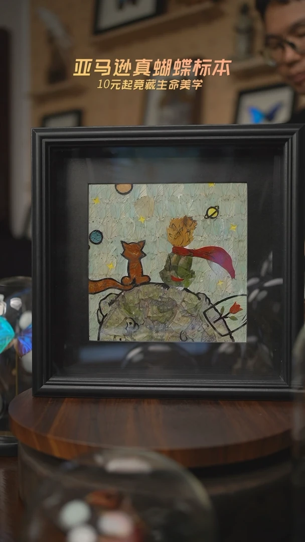 有机玻璃蝶翅画E148