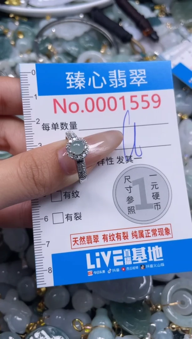 颈饰未镶嵌翡翠1559