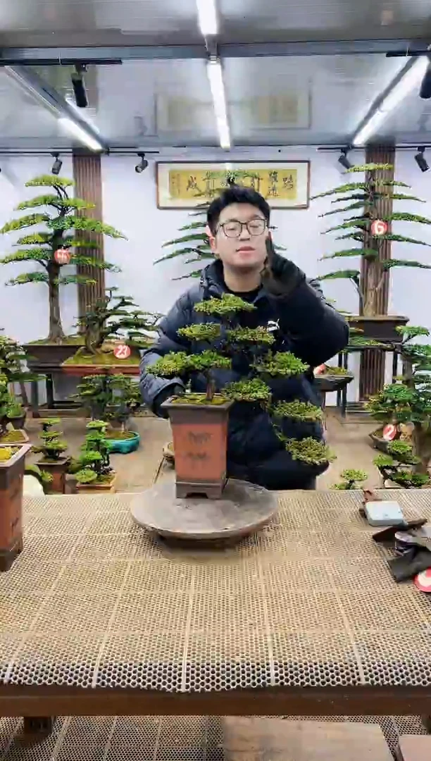 【闪购商品】一物一拍，所见即所得