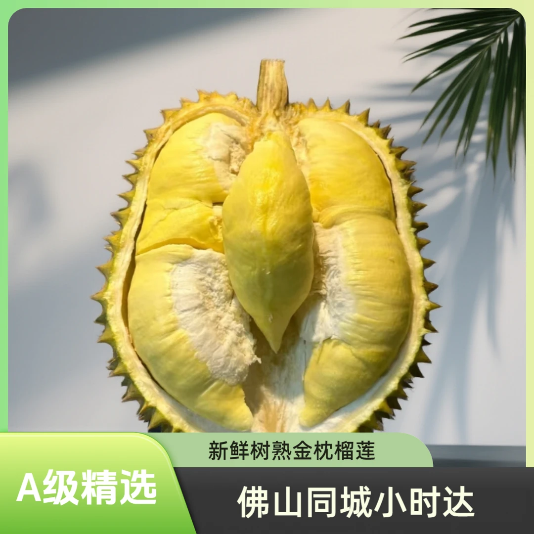 【粉丝福利2斤】金凤壹号泰国树熟金枕榴莲A果现开纯肉1斤干包黄肉新鲜核小榴莲佛山同城小时达榴莲金枕泰国