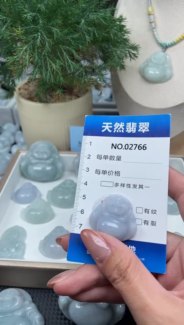 颈饰未镶嵌翡翠纯天然A货翡翠2766