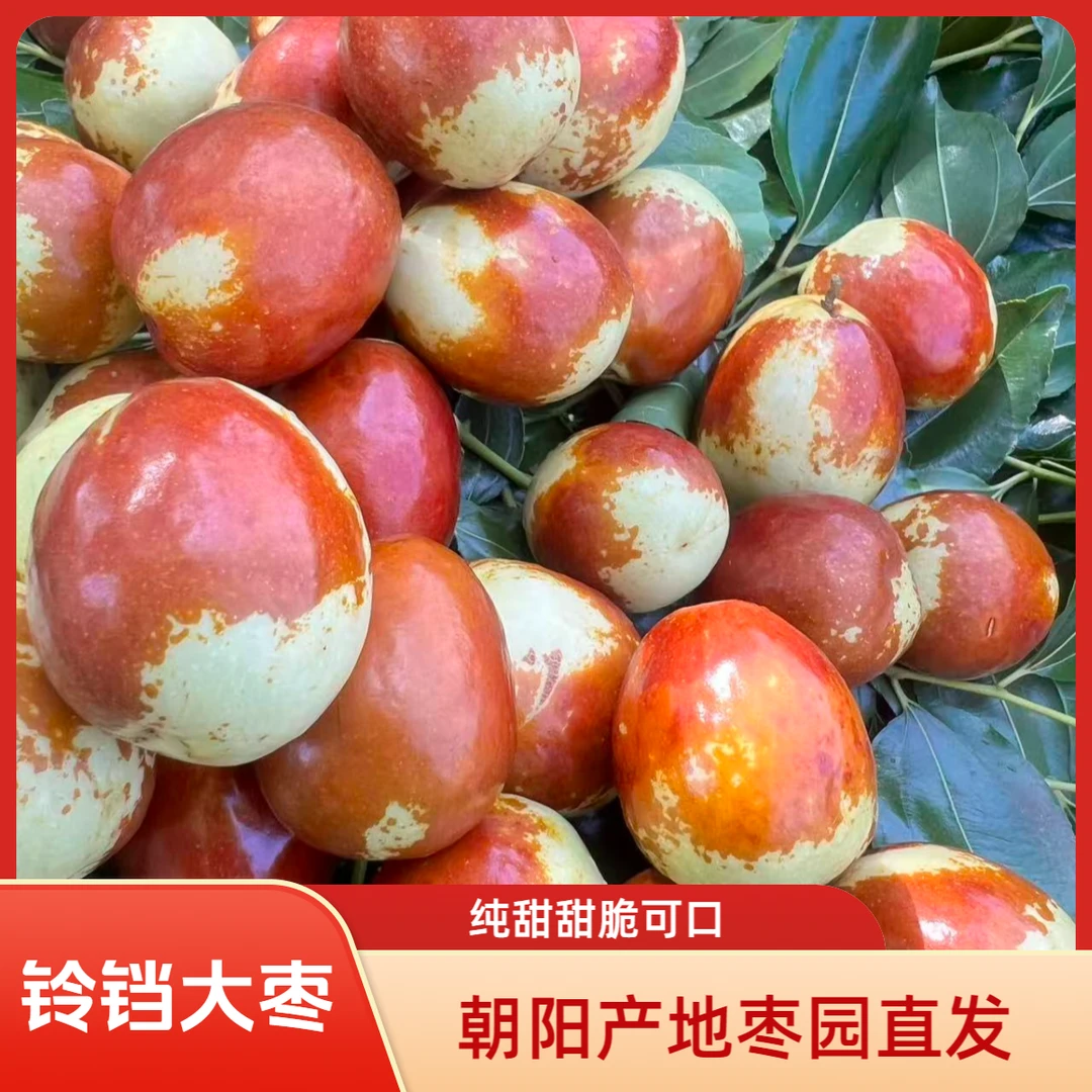 省内省外包邮专拍正宗金陵大枣产地直发甜脆口京东包邮