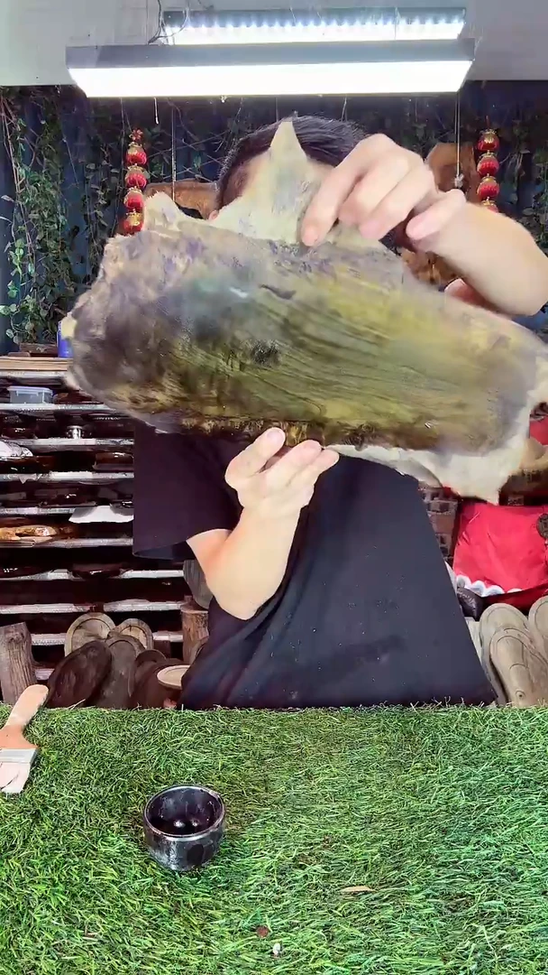 金丝楠小叶金丝楠106