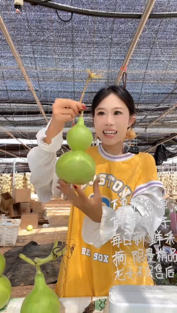 499天然葫芦摆件 一物一拍龙头不保售后