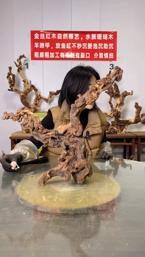 【闪购商品】木金丝红木 羊蹄甲