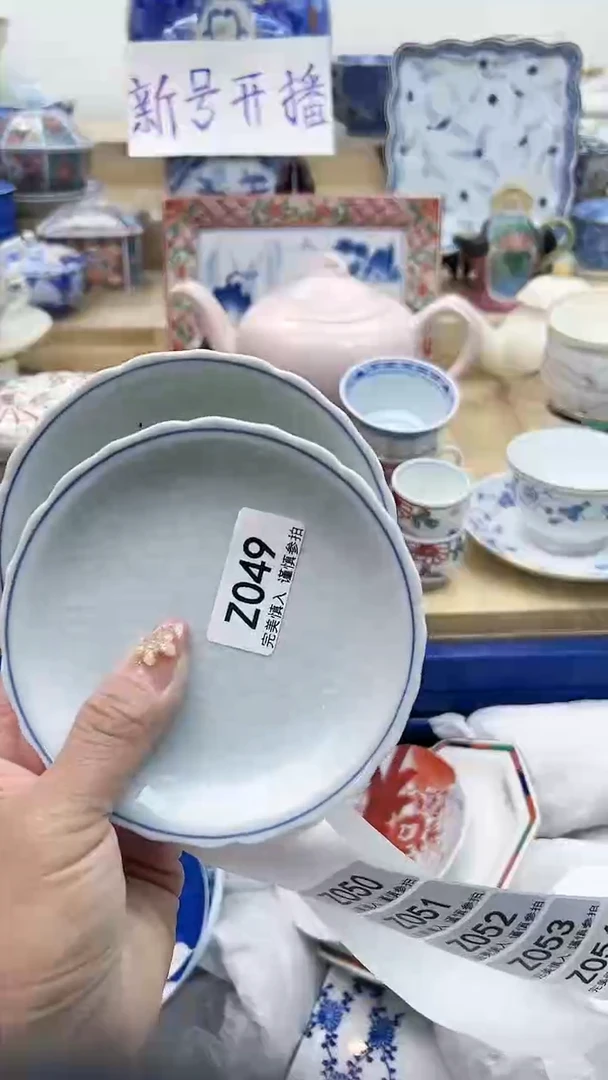 【闪购商品】瓷片049