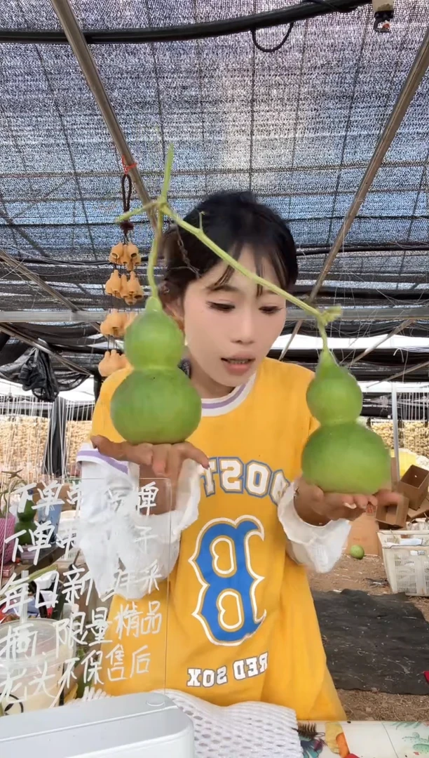 531天然葫芦摆件 一物一拍龙头不保售后