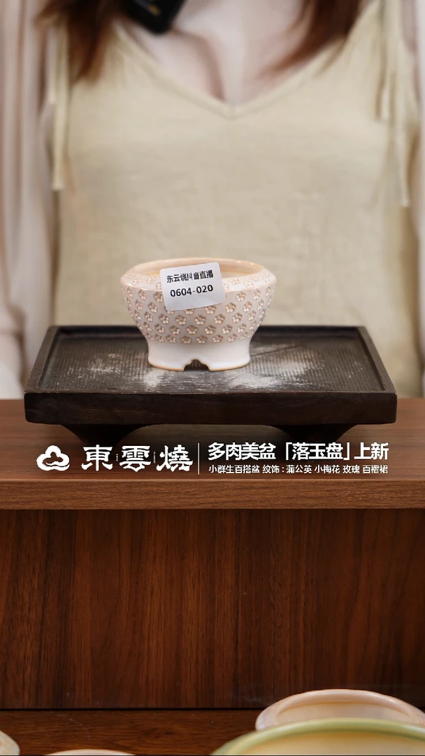 0604-020A 落玉盘7