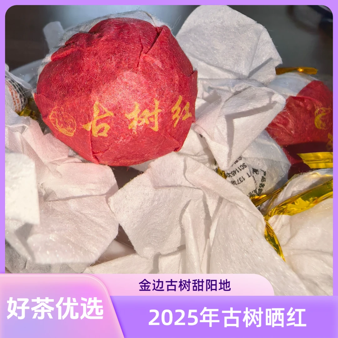 2025年 金边甜阳地 古树晒红 8克龙珠 【春】原装试喝