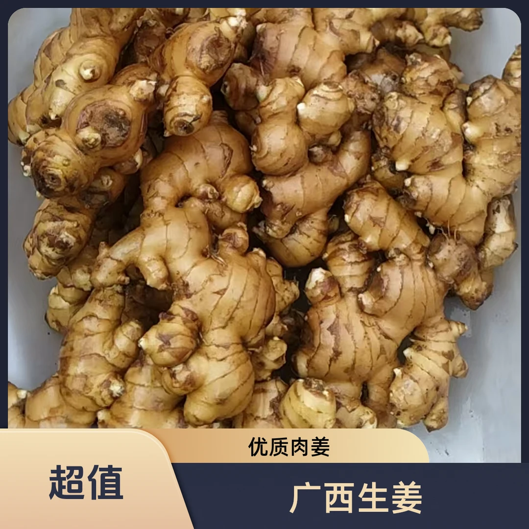 广西优质大肉姜农家自种原产地直发老姜黄姜生姜批发