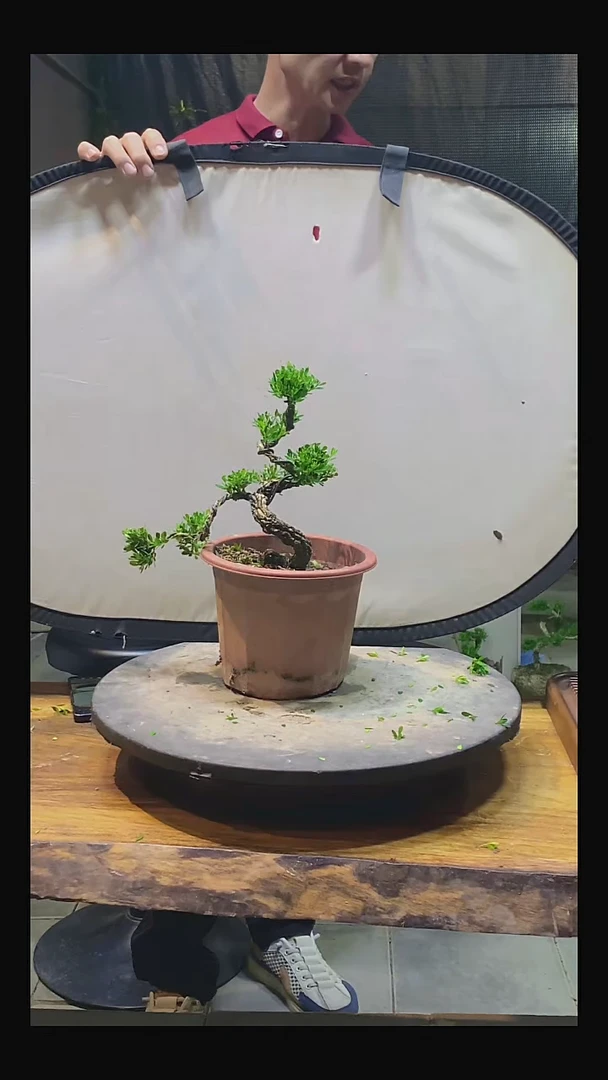 完全开放L**M1111111111