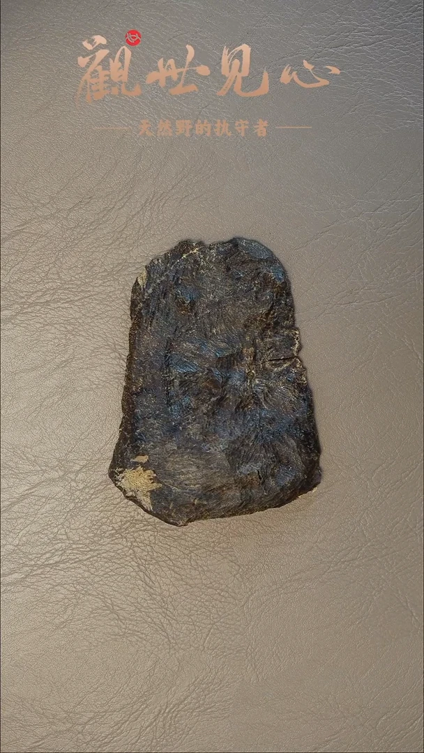 沉香沉香碎屑海南沉香壳料  13.06g