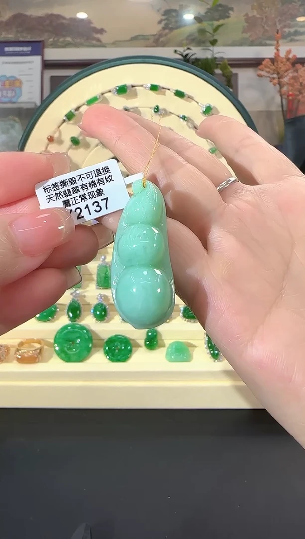 颈饰未镶嵌翡翠Y2137  富贵豆