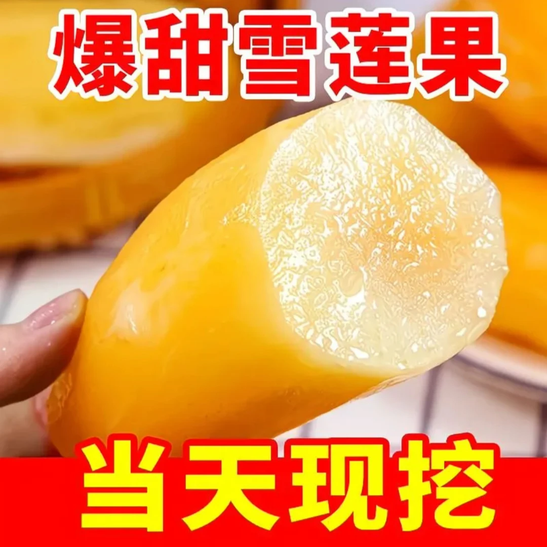 AB云南正宗天山雪莲果新鲜脆嫩应季清甜多汁水果