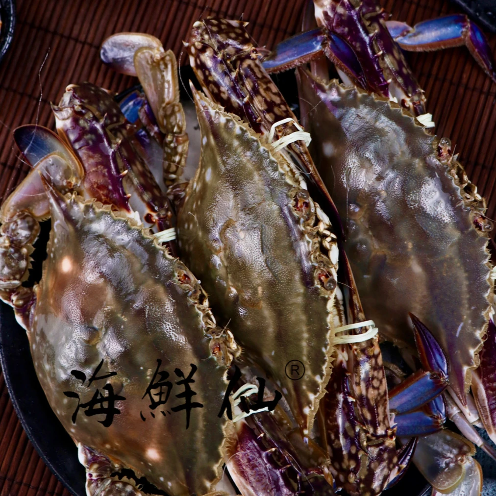 【保鲜不保活】4-6两/只舟山海捕梭子蟹大白蟹公蟹3斤6-7只有断脚梭子蟹同城
