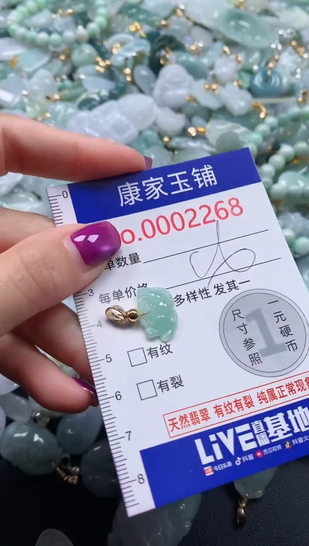 颈饰未镶嵌翡翠2268