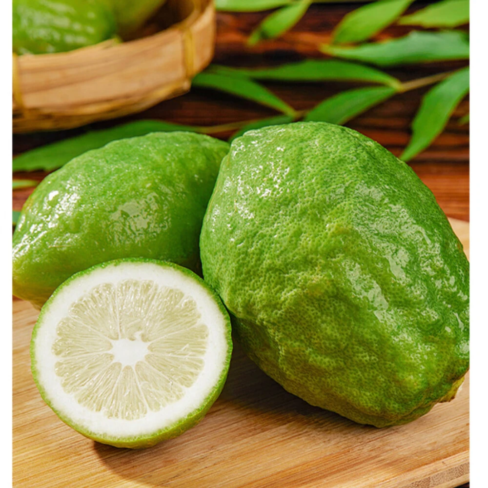 备货首选-广东香水柠檬大规格装奶茶店餐饮店专用保温箱发货