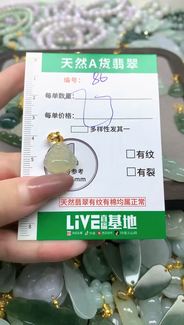 颈饰未镶嵌翡翠纯天然缅甸A货翡翠-86