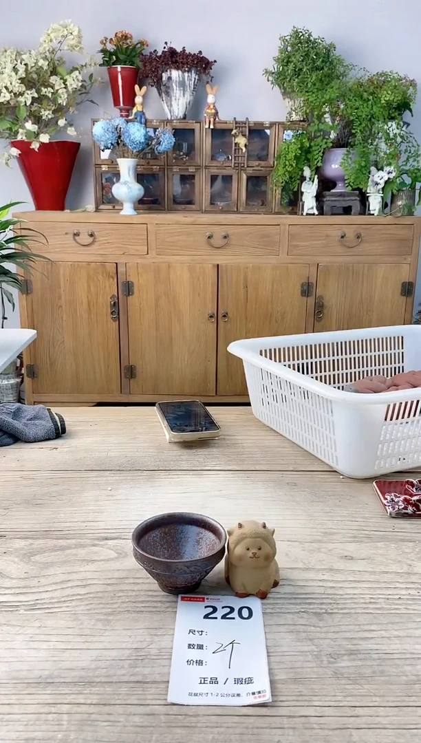 小玩子花盆直播号220