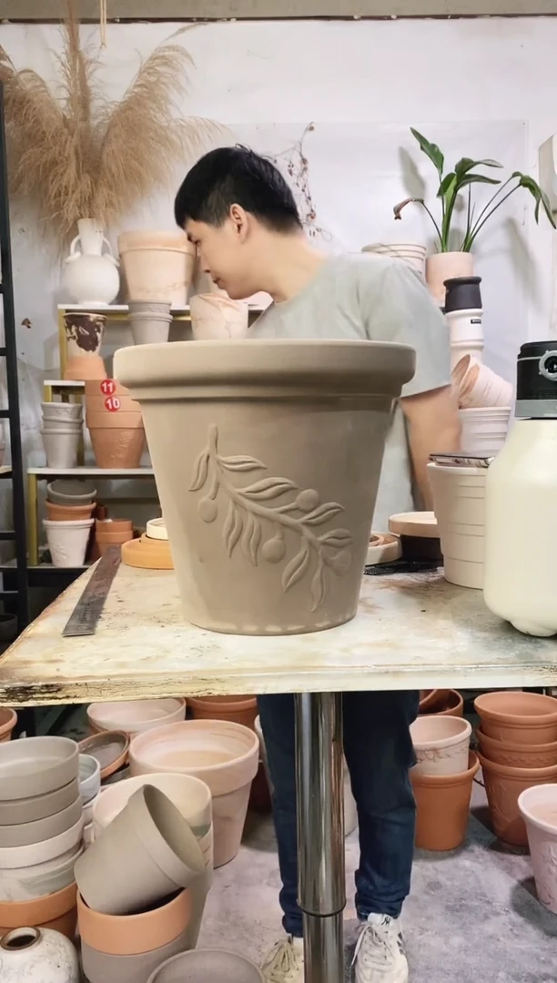 30*27灰陶橄榄枝 1盆无托