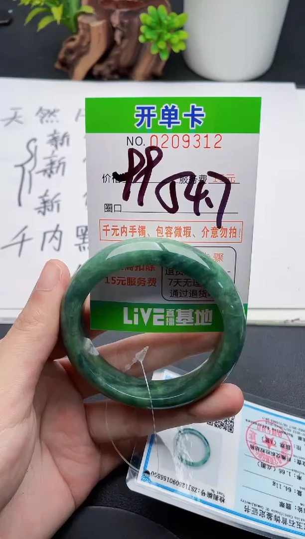 未镶嵌手镯翡翠12天然翡翠A货