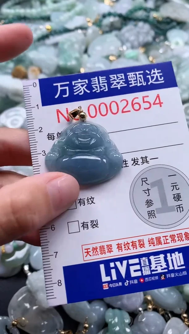 翡翠未镶嵌吊坠(不含链)2654