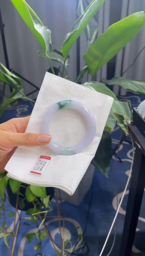 未镶嵌手镯翡翠4589*****