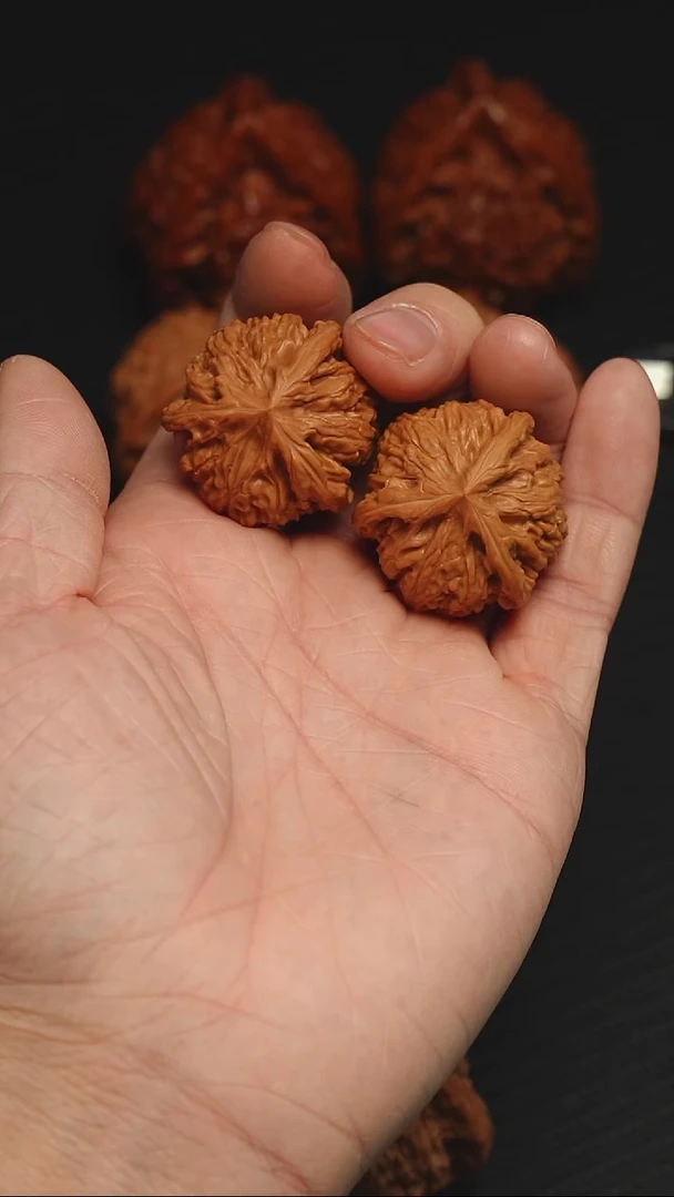 吊坠文玩核桃34 御龙粗筋全品