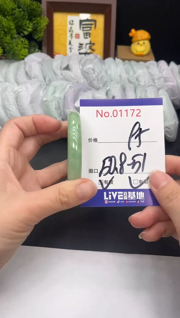 未镶嵌手镯翡翠拍下以实物为准1172