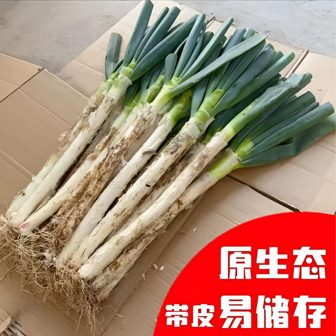 山东大葱新鲜铁杆大葱现挖现发带皮去半叶脆嫩甜脆