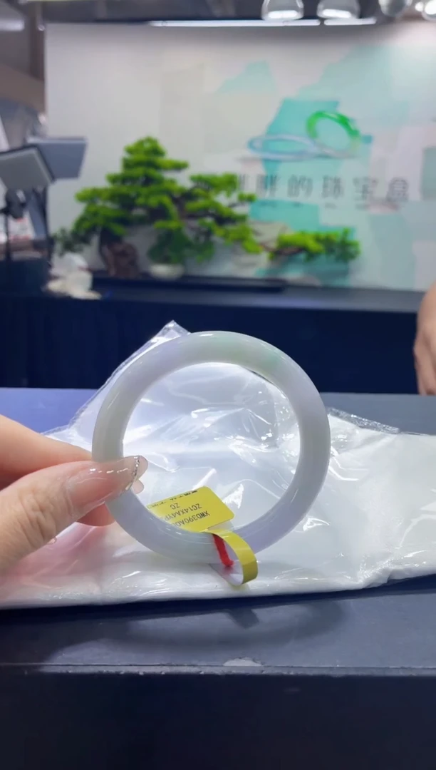 未镶嵌手镯翡翠9
