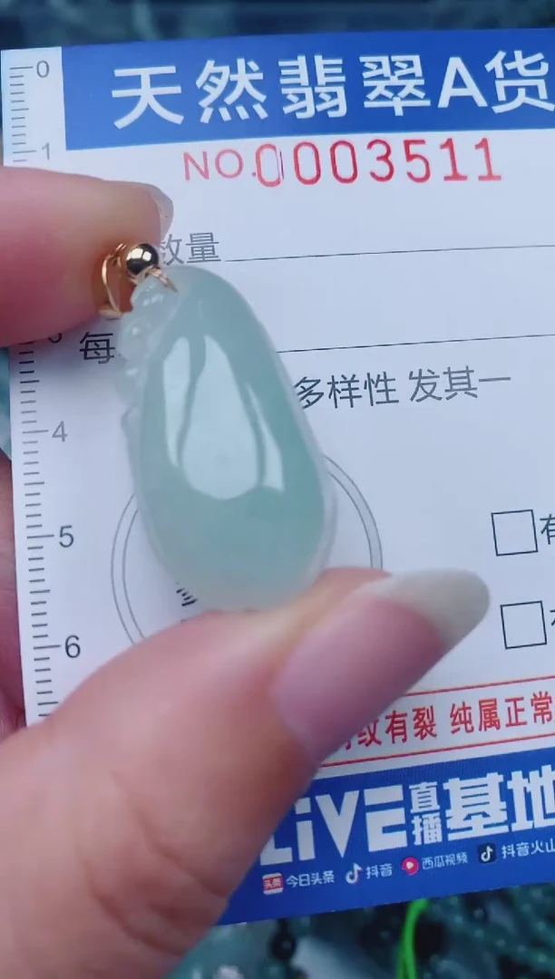 颈饰未镶嵌翡翠00003511