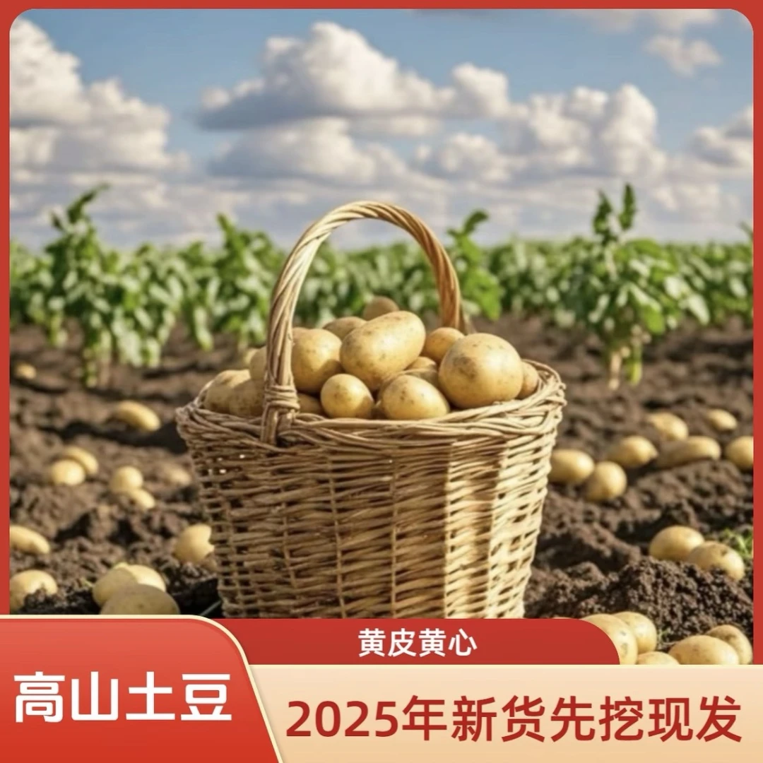 【买5斤送5斤带箱9.5-10斤】新土豆沙糯粉面开花沙地黄皮黄心土豆