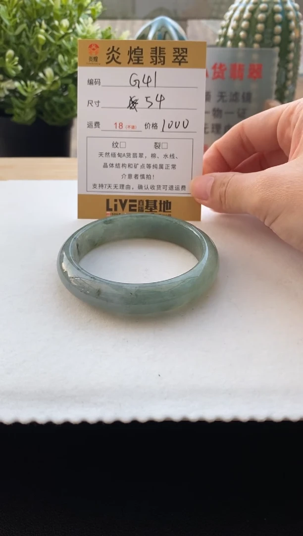 未镶嵌手镯翡翠54圈口 编码G41