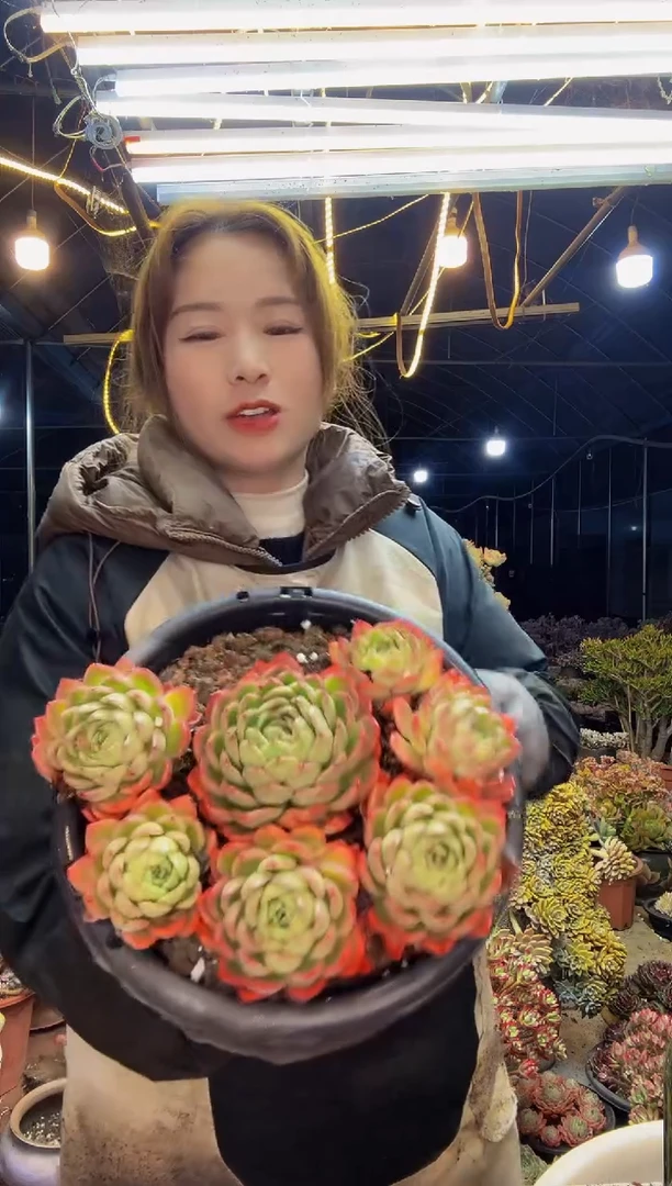 【闪购商品】37号一物一拍土包邮