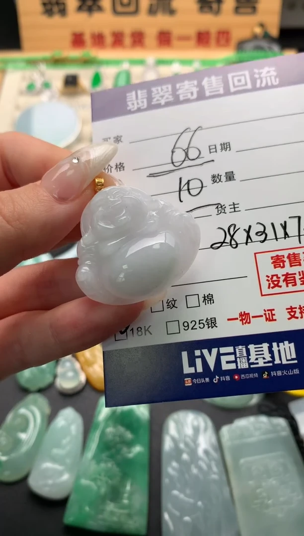 翡翠18K金镶嵌颈饰10137766