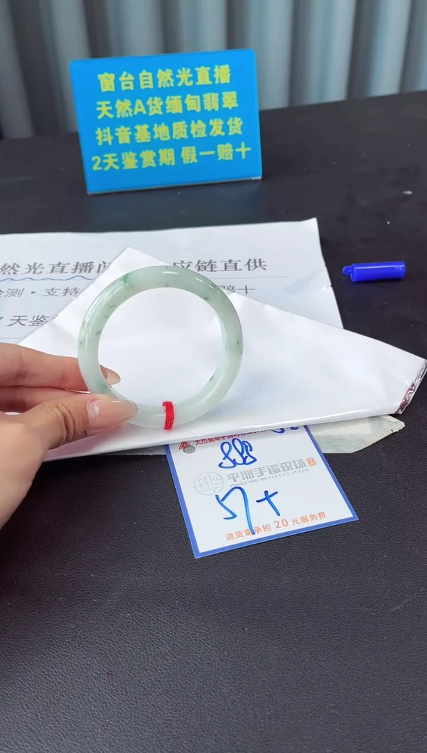 未镶嵌手镯翡翠11111