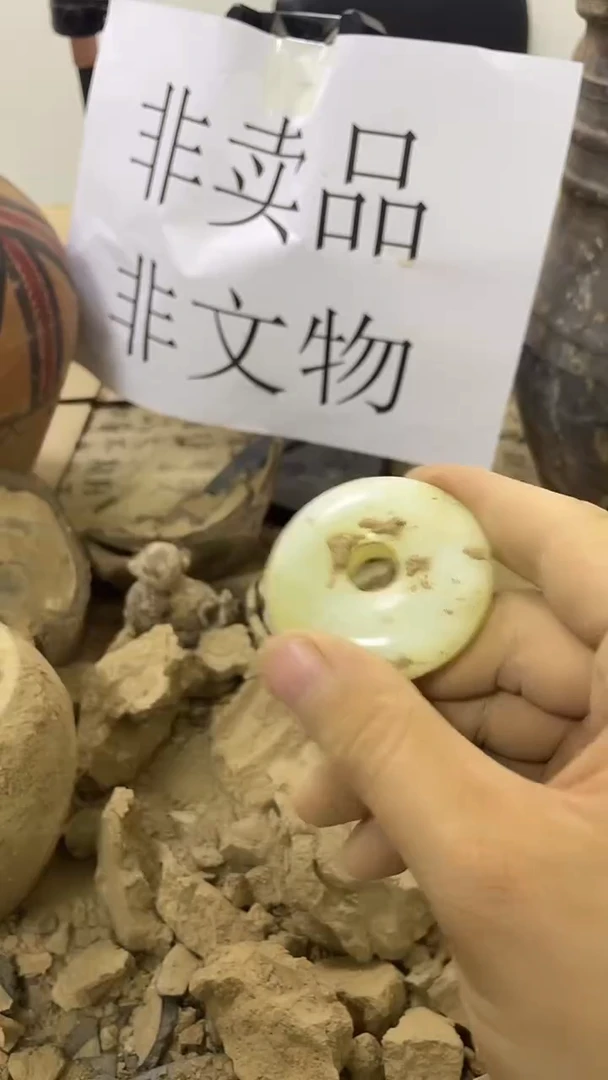硅化玉珠宝奇石未镶嵌1