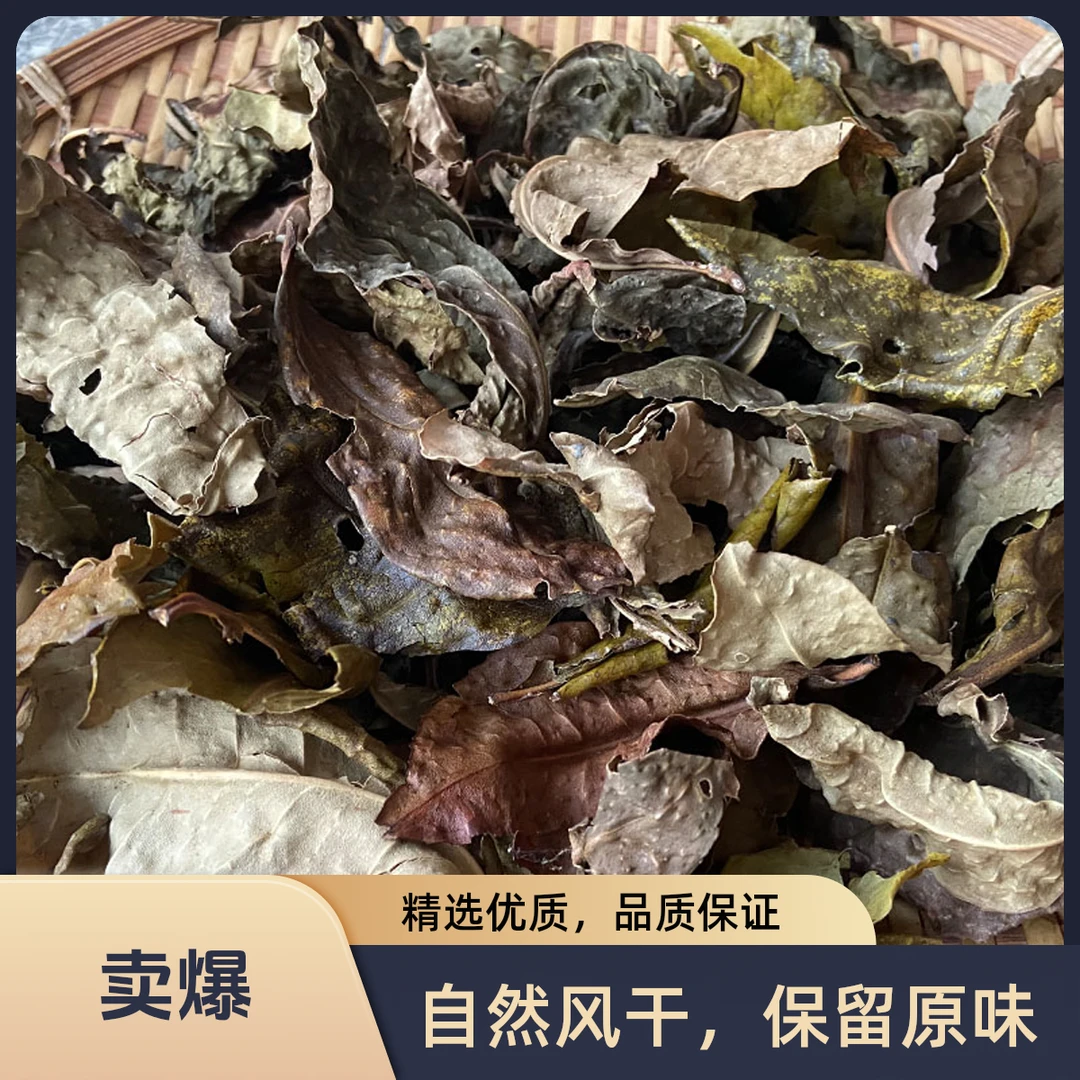 大雪山原始密林母树普洱茶千年老妖10g品鉴装