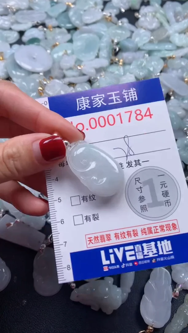 颈饰未镶嵌翡翠1784