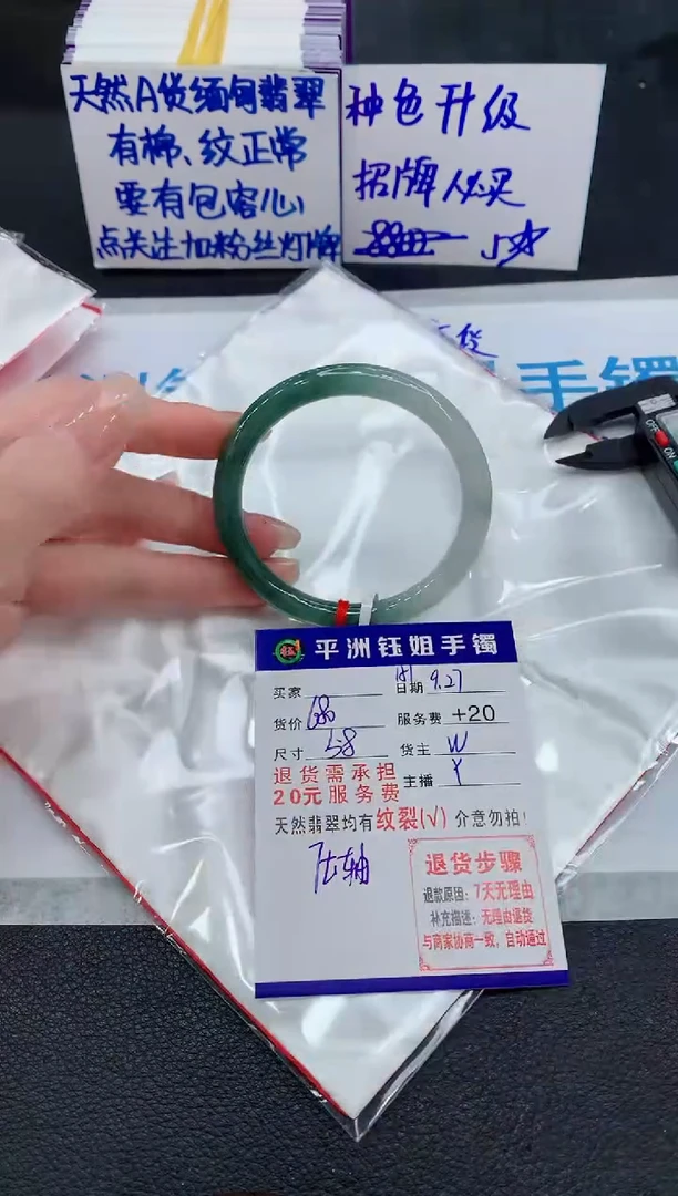 未镶嵌手镯翡翠111