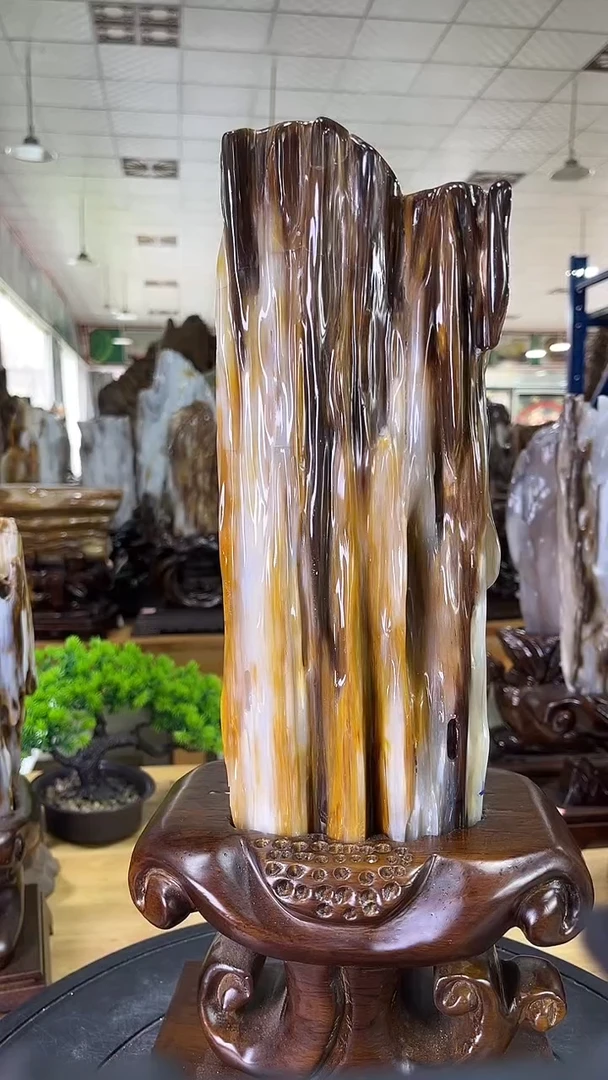 硅化玉珠宝奇石未镶嵌650