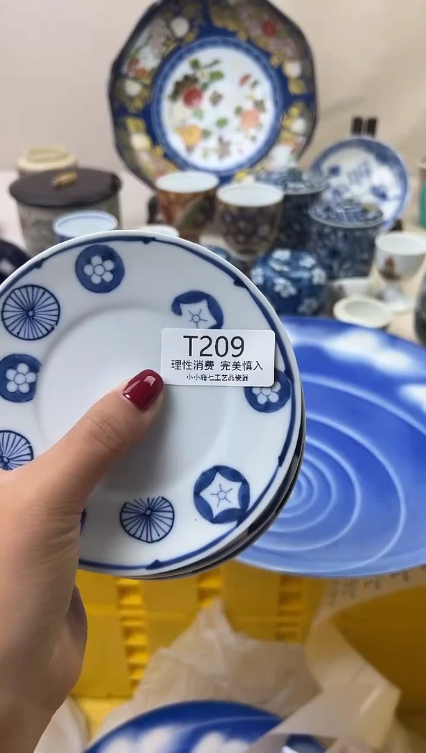 瓷三****）209TTTTTTTTTTTT