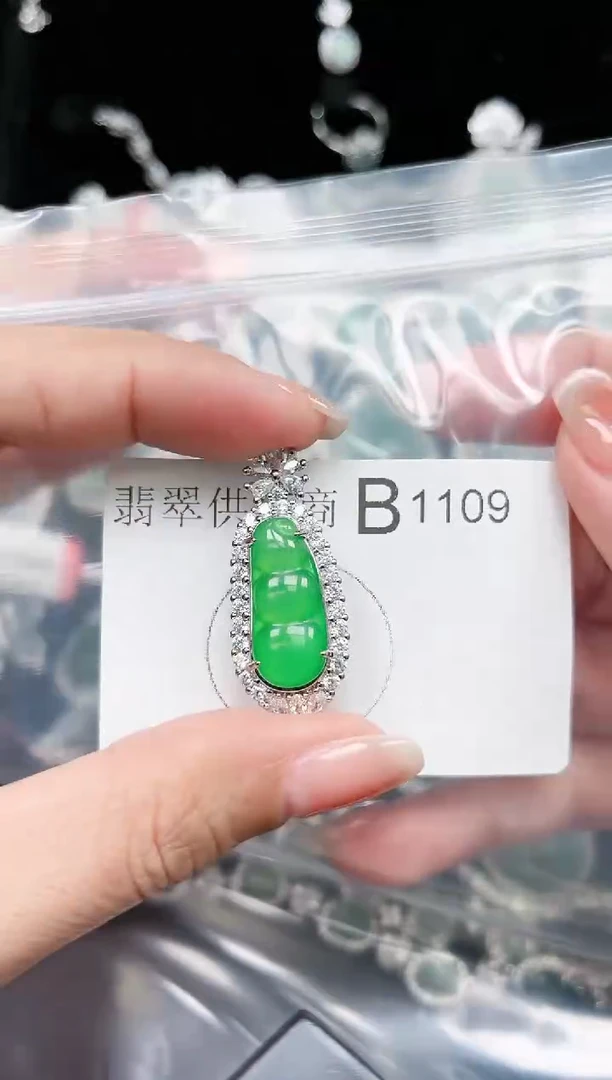 【闪购商品】翡翠颈饰未镶嵌赠皮绳1109