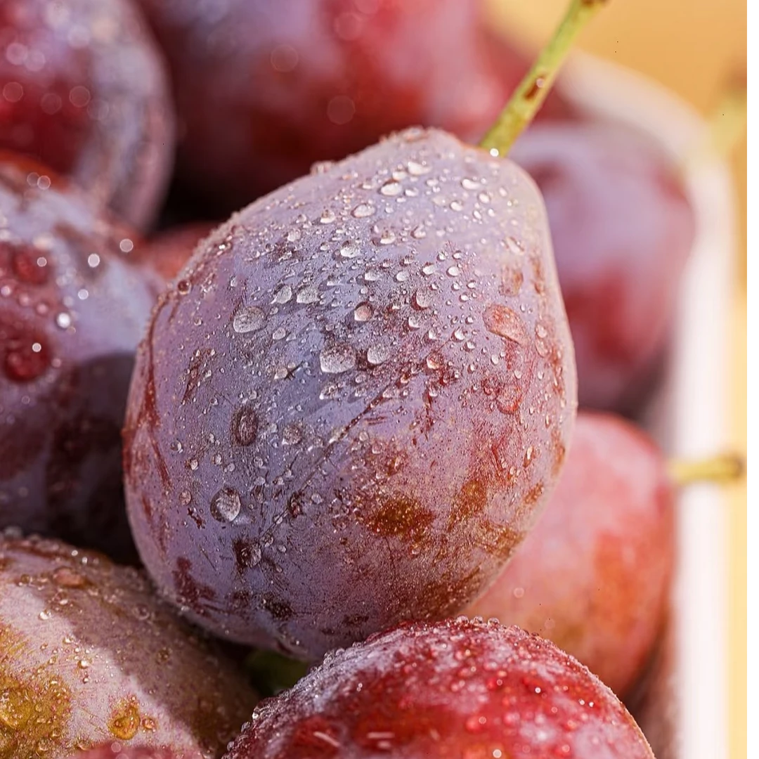 【顺丰包邮】澳洲西梅水果2-5斤新鲜西梅鲜果香甜水果新鲜水果