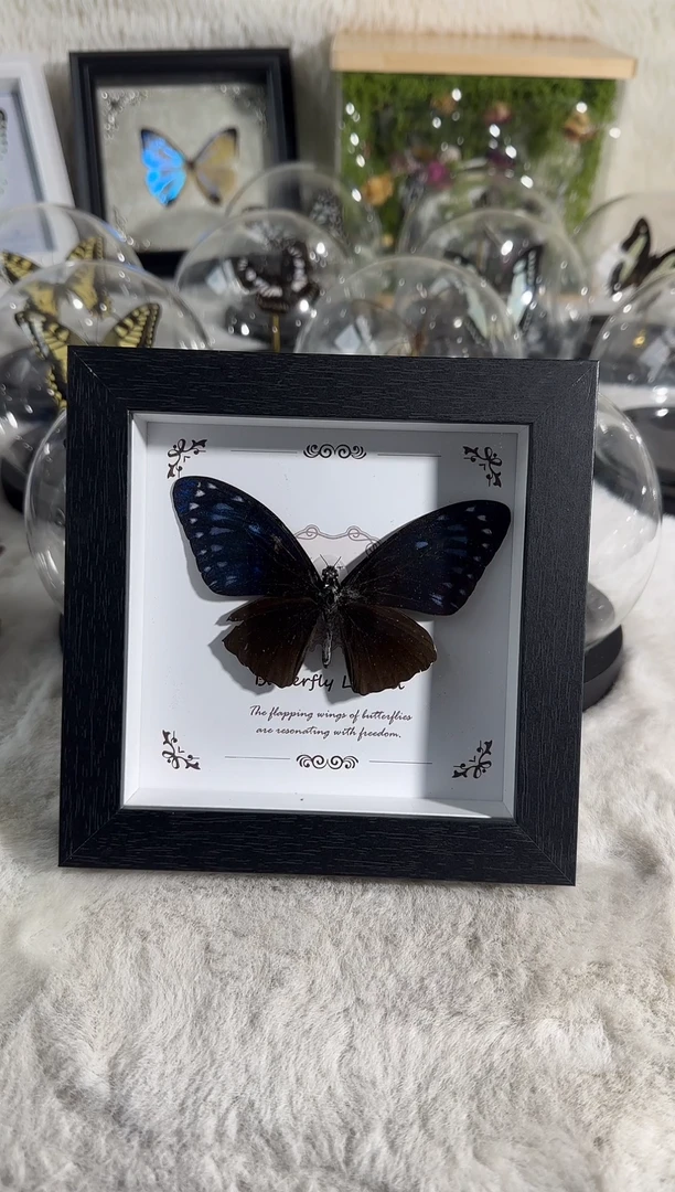 有机玻璃异性紫斑