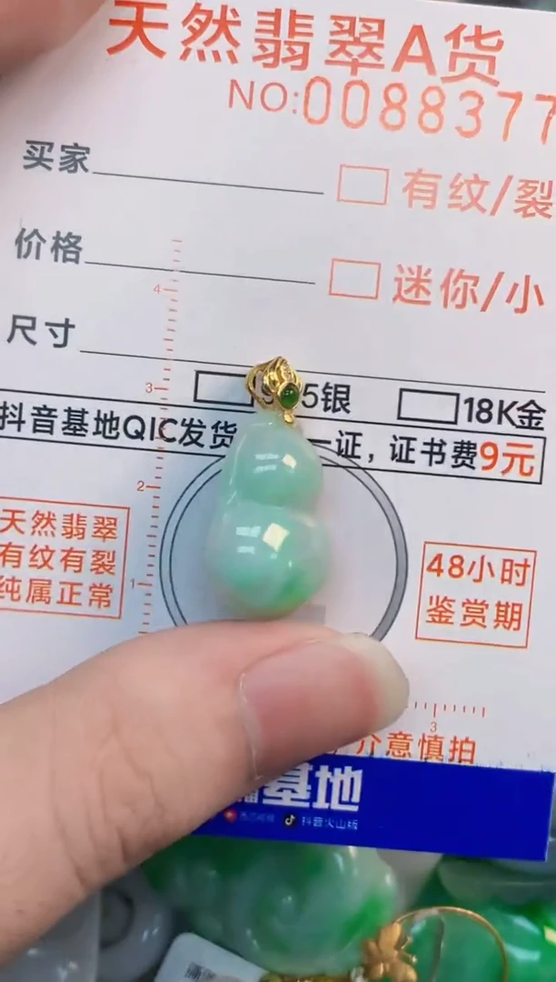 翡翠未镶嵌吊坠(不含链)1