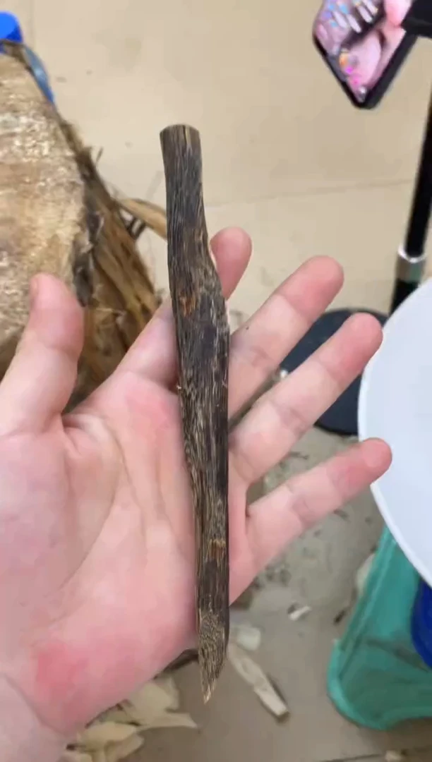 沉香沉香碎屑棋楠沉香 原料文创1