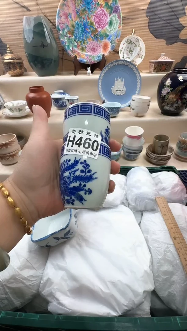 瓷片天****菜           H460