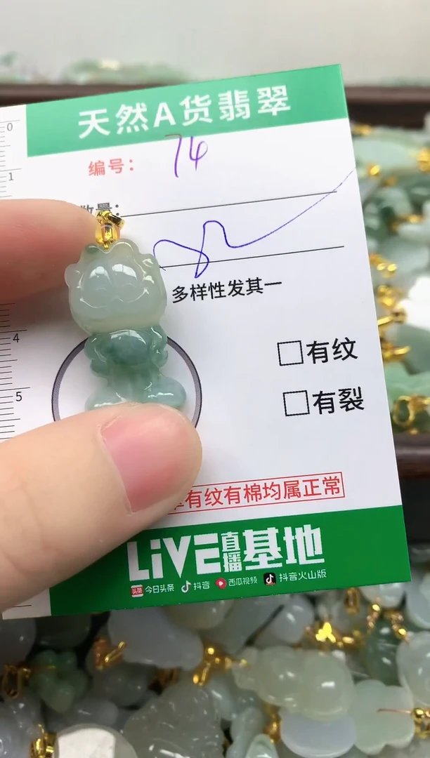 颈饰未镶嵌翡翠纯天然缅甸A货翡翠-74